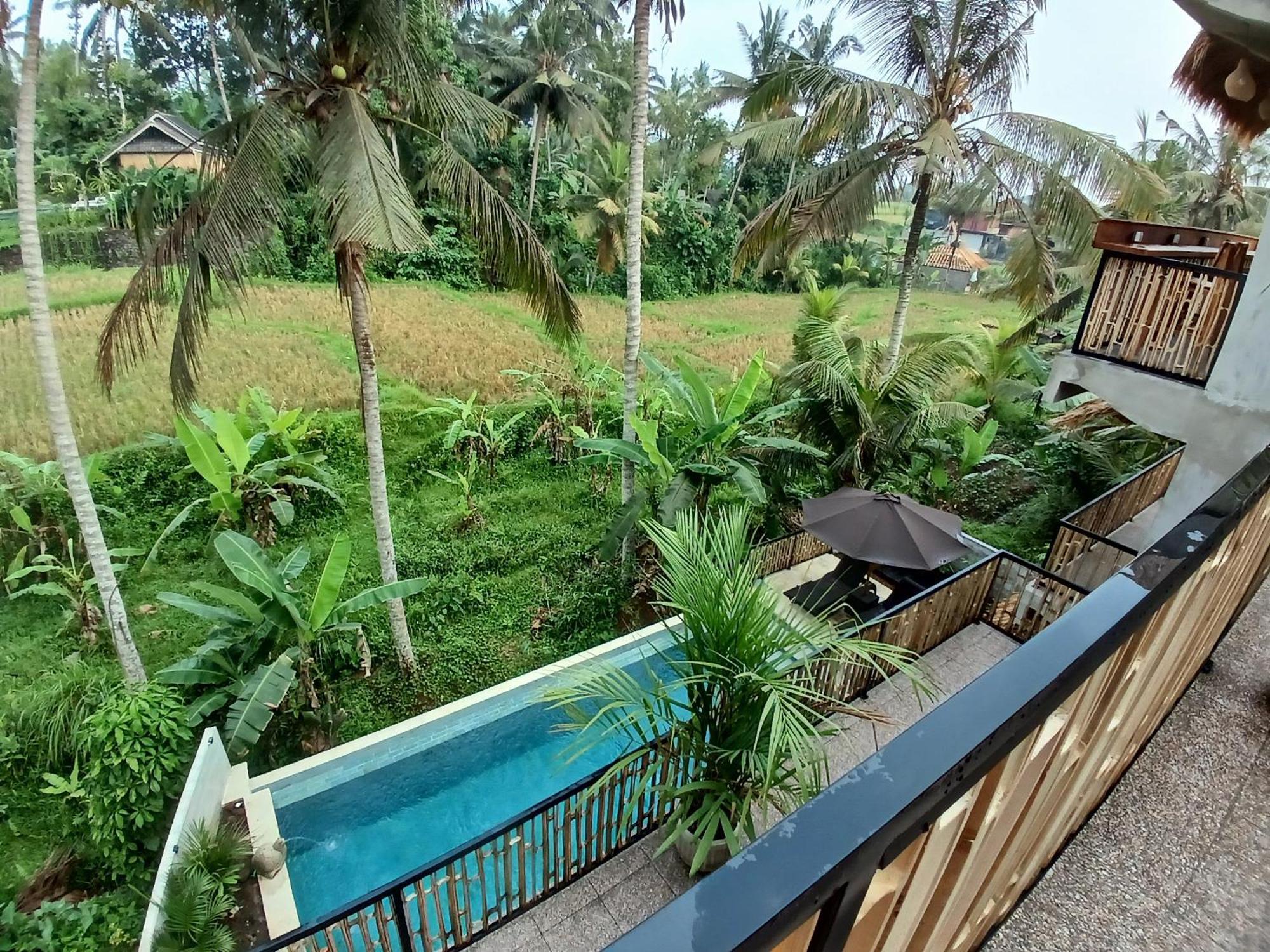 Bali View Ubud Hotel 外观 照片