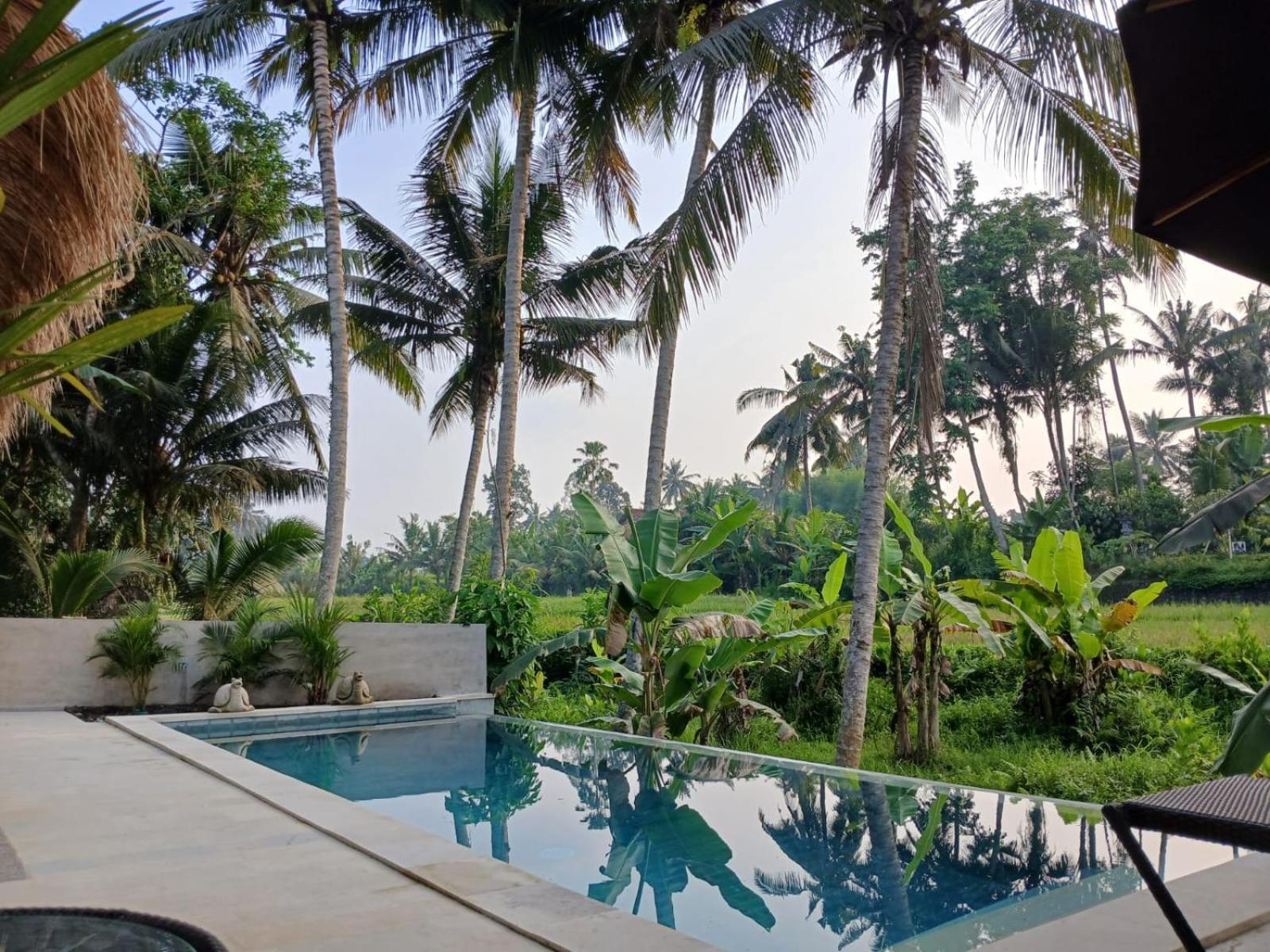 Bali View Ubud Hotel 外观 照片